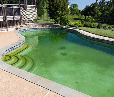 Absolute Pool & Spa Care